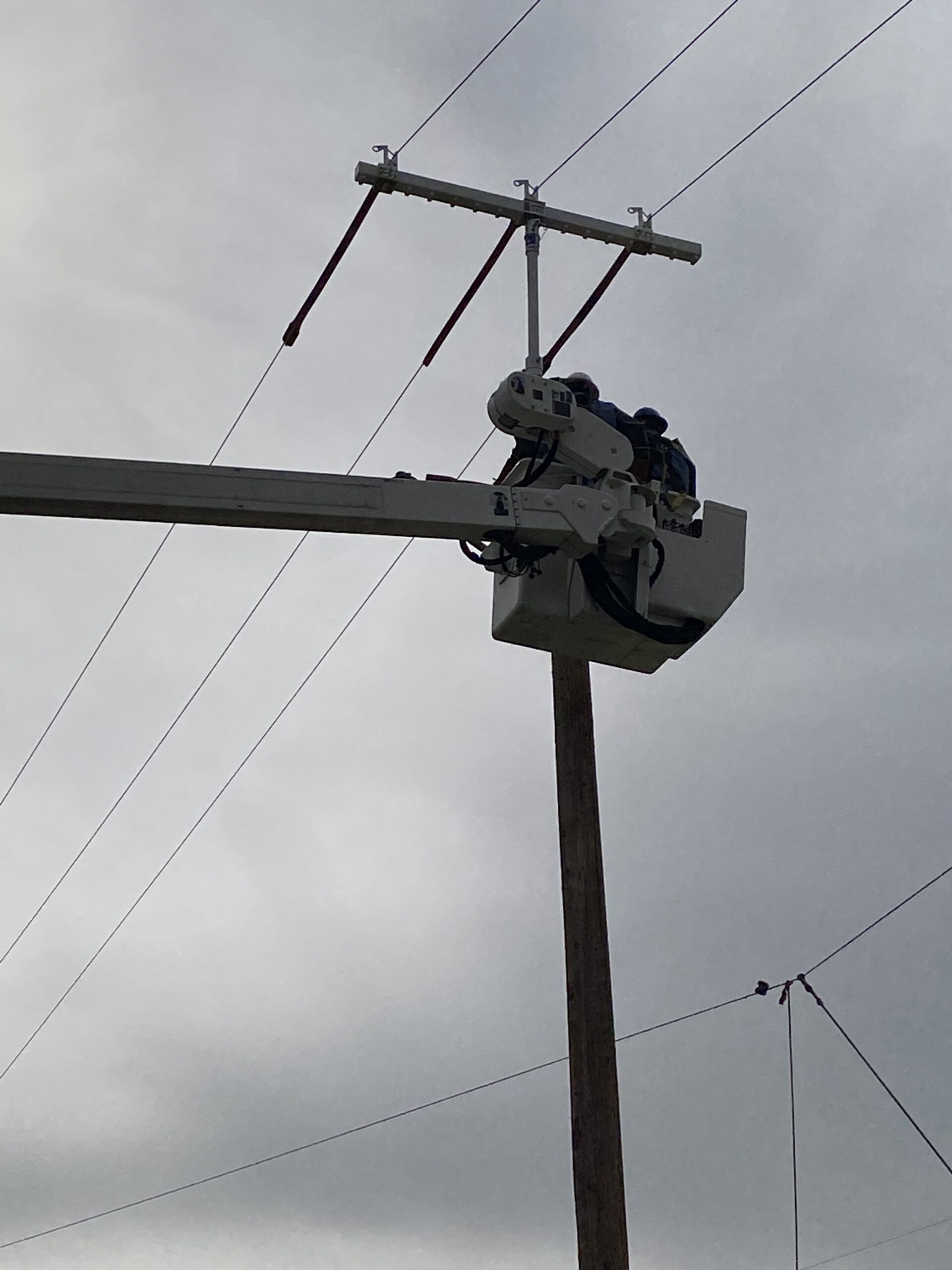 TLL-300B LineWise